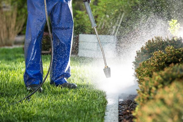 Curb Cleaning in Meridian