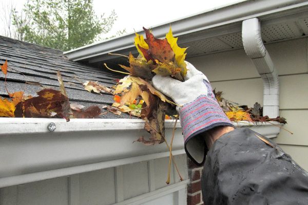 Eaves Cleaning in Meridian
