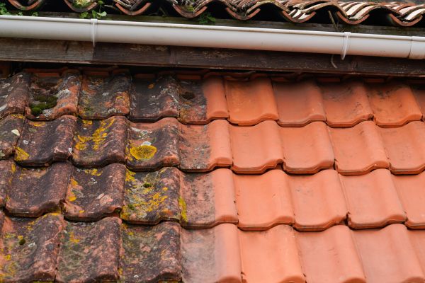 Industrial Roof Cleaning in Meridian