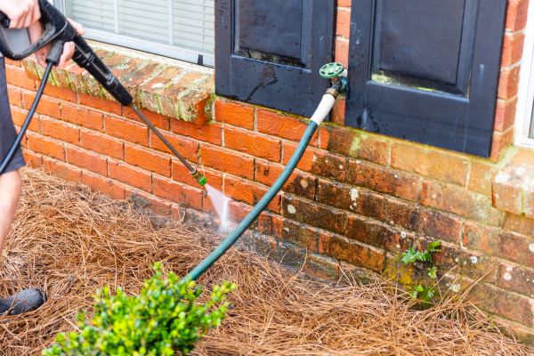 Brickwork Cleaning in Meridian