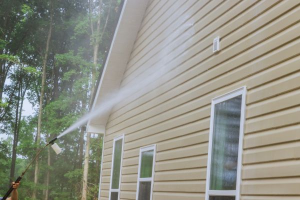 Home Siding Cleaning in Meridian