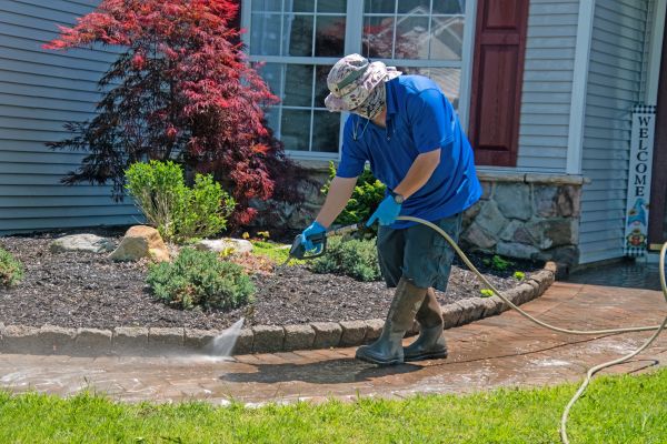 Brick Walkway Cleaning in Meridian